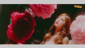 DJ Kramnik - сборник клипов