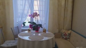 Орхидеи и другие цветы!🌸Дом и дача, уютное видео.🌺Ленинградская область.🌺