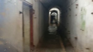 Кронштадт. Форт Риф. Июнь 2025