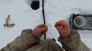 Зимняя рыбалка на Печоре № 14  Предпоследняя проверка палок