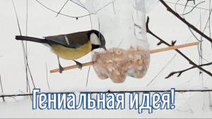 Почему я Раньше до этого не додумался, Как сделать Кормушку для птиц за 3 минуты!