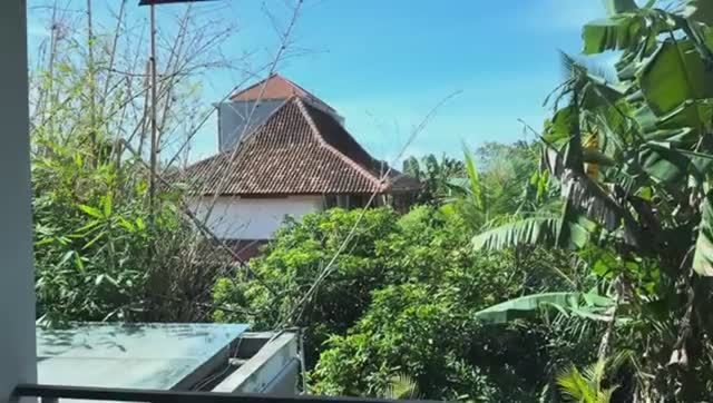 Беженец🇮🇩Бали. КРЫСА НЕ ЛОВИТСЯ. ПЕЛЬМЕНИ ИЗ УШИ. НОВ смотреть онлайн