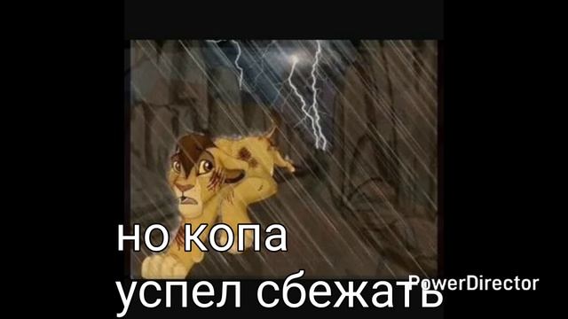 История копы . Король лев смотреть онлайн