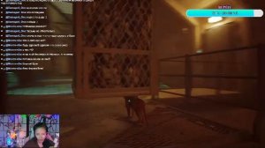 Stray - котик-путешественник