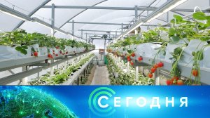 «Сегодня»: 16 января 2026 года. 08:00 | Выпуск новостей | Новости НТВ