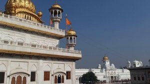 Много людей в Золотом храме!