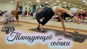 Как укрепить руки, плечи и мышечный корсет? Силовая асана — танцующая собака. Упражнение из йоги