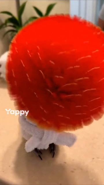 Попугай 🦜 был очень счастлив 😊. смотреть онлайн