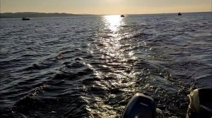 Кит плывёт за нами