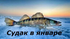 КАК ЛОВИТЬ СУДАКА в ЯНВАРЕ? МЕСТА и ВРЕМЯ для ЛОВЛИ СУДАКА! СНАСТИ для РЫБАЛКИ ЗИМОЙ