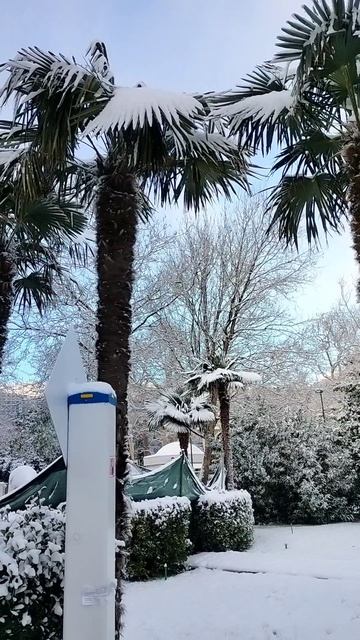 Ялта снежная... Набережная. 2026 года смотреть онлайн