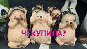 Обзор полочек фикс прайс и Чижик 🛍️ / Завезли новинки для дачи/ Чё купила?🛒