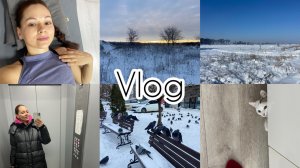 Не знаю, к чему нас готовят, но я готова! Снежный Краснодар. С кошкой и детьми некогда скучать!