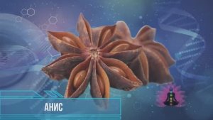 Анис*Программа Матрица по Технологии Гаряева П.П