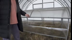 Середина января 2026 года. За семенами. Парник присматриваю.