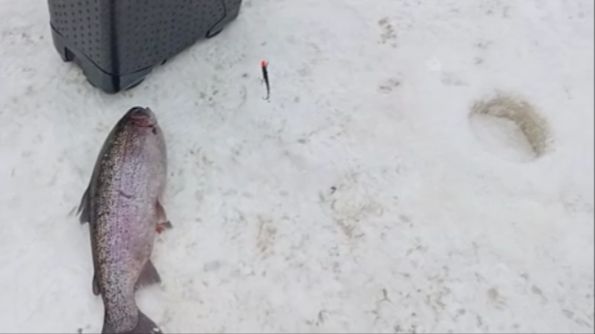 Поимки и сходы на Нижнем. Клёвое место Лосиный остров. смотреть онлайн