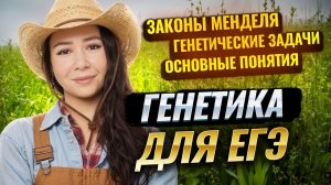 Генетика для ЕГЭ по биологии: основны, законы Менделя, генетические задачи | Биология ЕГЭ | Умскул