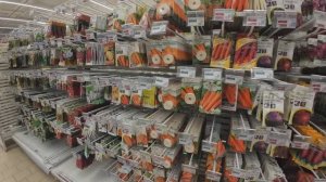 Середина  января 2026 года. Прогулка в гипермаркет. Отдел сад-огород Ашан. Много семян и недорого.