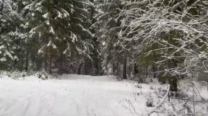 Падает хлопьями снег - Виктор Михнев, музыка - Аркадий Гаред + SUNO