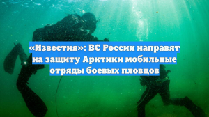 Россия намерена усилить охрану Арктики мобильными отрядами боевых пловцов