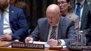 Из выступления В.А.Небензи на Совета Безопасности ООН по ситуации в Иране, 15 января 2026 года