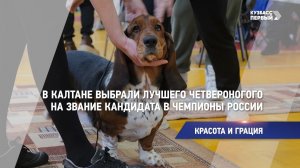 Красота и грация