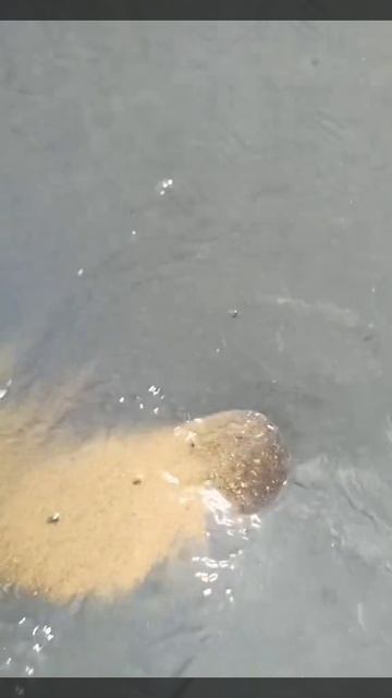 Поиск золота смотреть онлайн