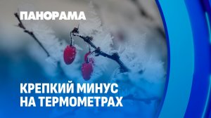 Аномальные морозы захватили Беларусь после рекордных снегопадов. Панорама