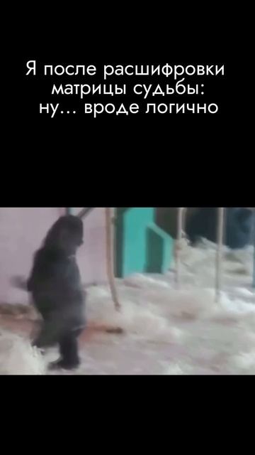 Суперсила Шута  в легкости!  И у каждого из нас она своя 