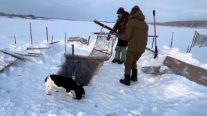 Куча рыбы на фитиль. Волки наведались. Трофейная Щука.