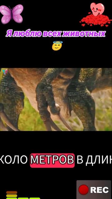 Я люблю всех животных😇 смотреть онлайн