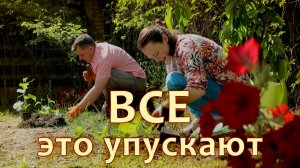 Главная ошибка садоводов: из-за неё сезон превращается в…