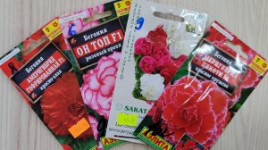 Семена бегонии и лаванды. Обзор семян 2026. Начинаю сажать красоту. Часть 1