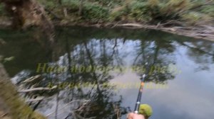 Открытие осеннего сезона рыбалки.