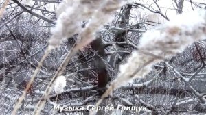 КРИК ДУШИ Музыка Сергей Грищук @grishchuksergey