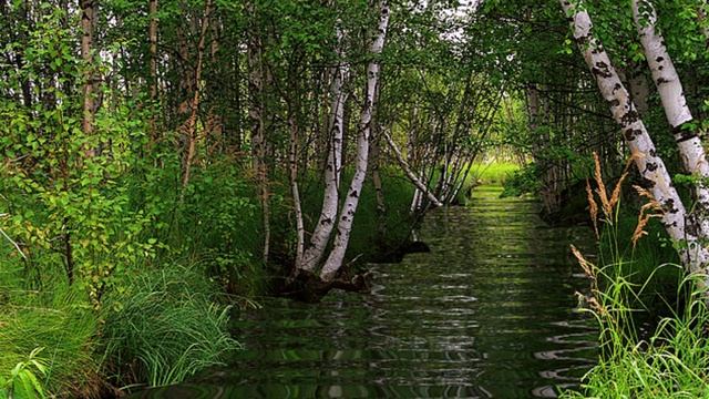 Сергей Чекалин - Весенняя ночь смотреть онлайн