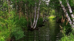 Сергей Чекалин - Весенняя ночь