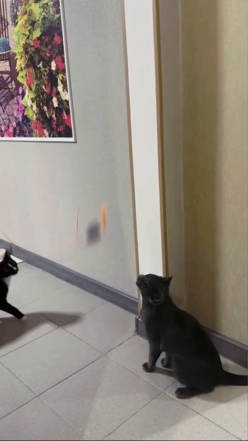 Артикул Я.Маркет - YM10195805 (не забудь при поиске YM) смотреть онлайн