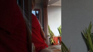 что мы делаем когда Луна пришла со школы