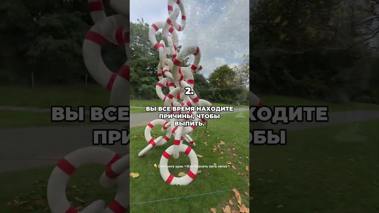 9 декабря 2025 г. смотреть онлайн