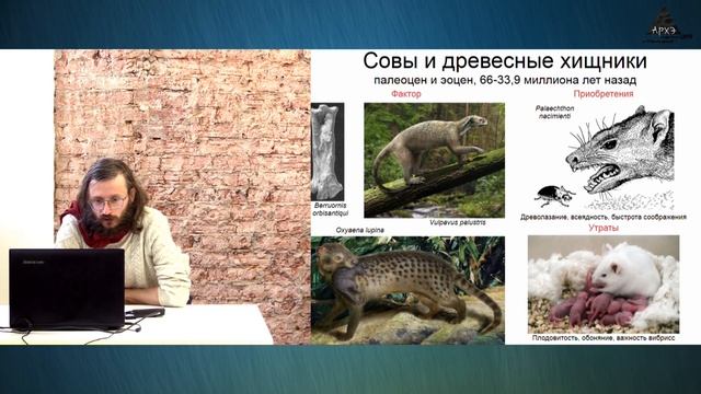 Станислав Дробышевский: Кошки – мышки: кто нас создал, и во что нам это обошлось (№4) смотреть онлайн