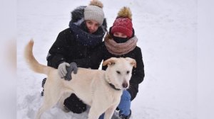 Выпуск 5. Школьные новости декабрь 2021 год.