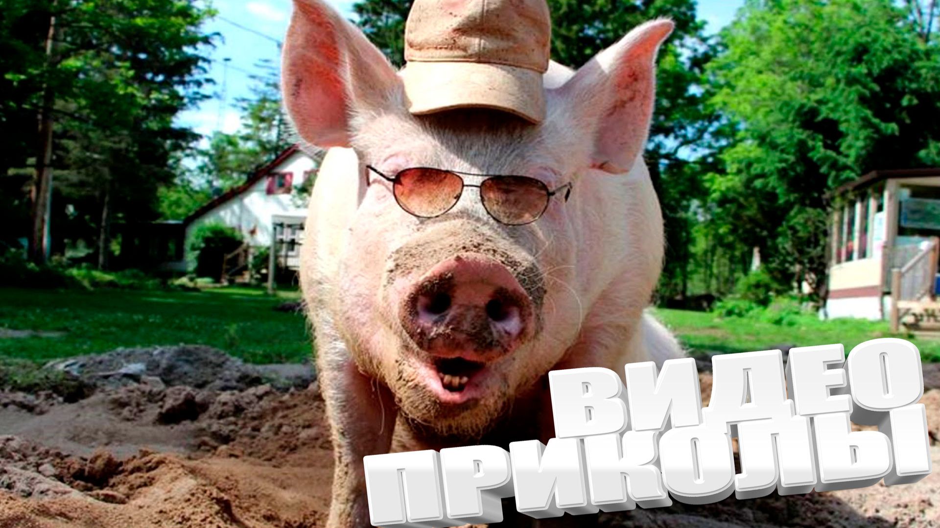 ВИДЕОПРИКОЛЫ \ КРУТЫЕ ПРИКОЛЫ 2025 \ НОВЫЕ ПРИКОЛЫ \ СМЕШНЫЕ ПРИКОЛЫ 2025 ЮМОР смотреть онлайн