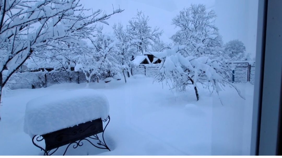 998 Нас заметает снегом.Но мы держимся! Сельская жизнь. смотреть онлайн