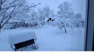 998 Нас заметает снегом.Но мы держимся! Сельская жизнь.