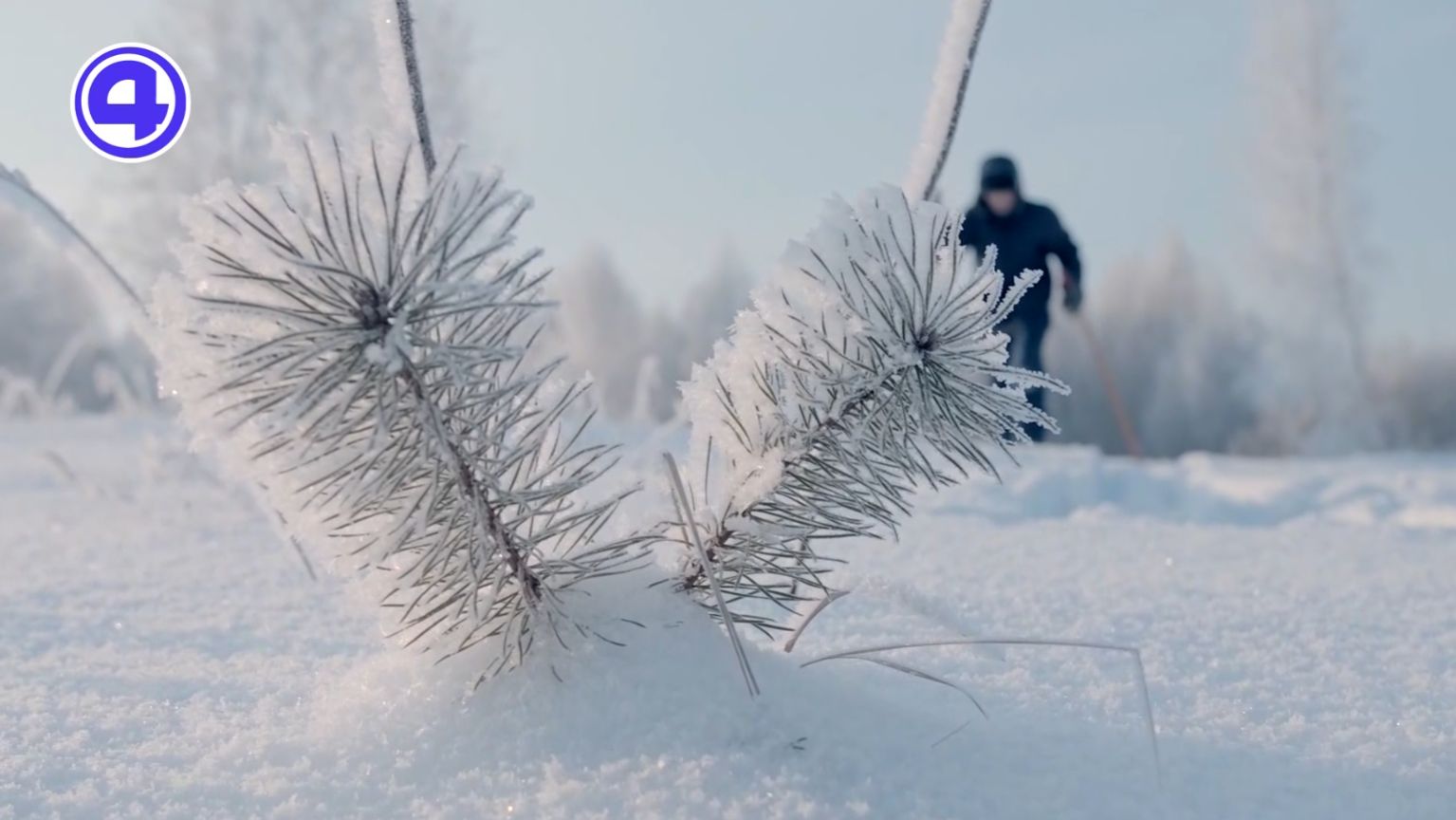 Утренний экспресс от 15.01.2026 смотреть онлайн