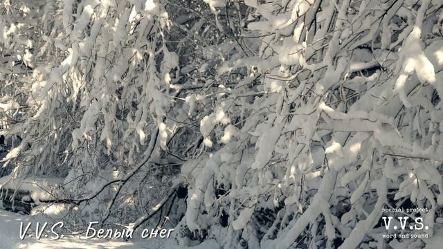 V.V.S. - Белый снег