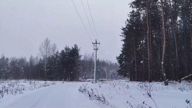 Снегопад 12.01.26 - очередной южный циклон смотреть онлайн