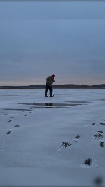 АСМР на рыбалке! #shorts #рыбалка #fishing #рыба #fish #эдвардкосичка #природа #nature #отдых #rest смотреть онлайн