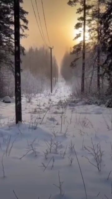 Деревня смотреть онлайн